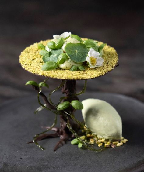 Food Platting Inspiration, Citrus Plated Desserts, Mousse Plating Ideas, Dessert Plates Ideas, Chocolate Plated Desserts Fine Dining, Plated Desserts Fine Dining, Fine Dining Dessert, Green Dessert, Pistachio Gelato