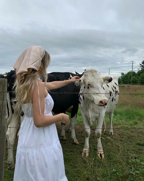 A Cow, Fence, A Woman, Cow, White Dress, White