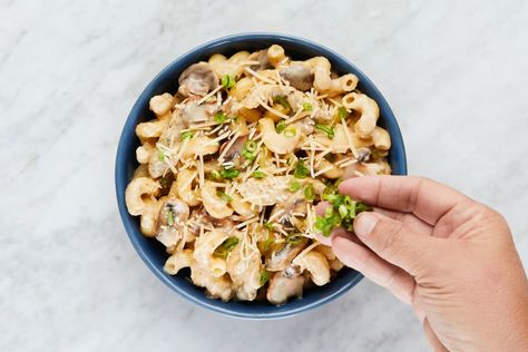 Mushroom Cavatappi, Hello Fresh Chicken, Creamy Chicken Mushroom, Mushroom Stock, Chicken And Mushroom, Chicken Mushroom, Fresh Chicken, Broccoli Cheddar, Mushroom Chicken