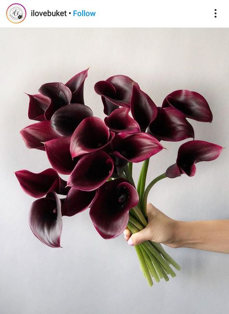 Purple Calla Lilies, Balloon Installation, Boquette Flowers, Bouquet Arrangements, Flower Therapy, Balloon Wall, Luxury Event, Pretty Plants, Bridal Flowers