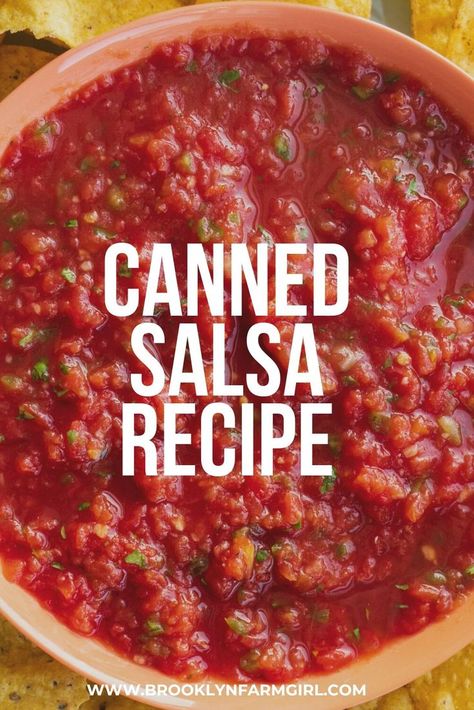 What To Do With Diced Tomatoes, Salsa With Canned Diced Tomatoes, Canned Diced Tomatoes Recipes, Salsa From Canned Tomatoes, Easy Canned Salsa Recipe, Canned Tomato Salsa, Green Peppers And Onions, Salsa With Canned Tomatoes, Canned Tomato Recipes