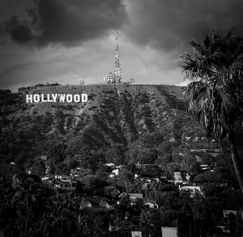 Hollywood in Los Angeles {in b+w} . This evocative series of black-and-white photographs takes us through the heart of Hollywood, showcasing its iconic landmarks and the vibrant spirit of its storied past. Each shot reveals the allure of Tinseltown, inviting viewers to experience the nostalgia and glamour of Los Angeles. . #picklerstudio #Hollywood #LosAngeles #BlackAndWhite #Photography #CinematicHistory Hollywood Aesthetic, Iconic Landmarks, Black And White Photographs, Hollywood, Angeles, Black And White, Photographer, Photography, White