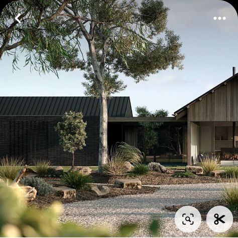 Chamberlain Architects, Landscape Pavilion, Rancher Homes, Pavilion House, Australian Native Garden, Australian Landscape, Modern Barn House, Dry Garden, Gable Roof