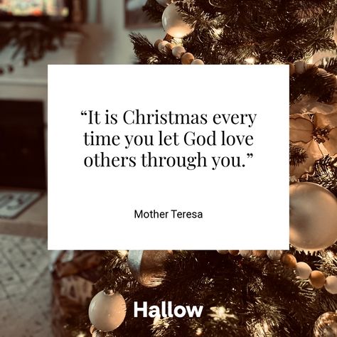 Mother Teresa Catholic Christmas Quotes, Lds Christmas Quotes, Christmas Letterboard, Lds Christmas, Advent Prayers, Teresa Of Calcutta, Catholic Christmas, Pray For America, Meaningful Christmas