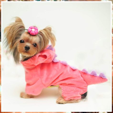 NACOCO Dog Dinosaur Design Costume Pink Pet Clothes for Medium & Large Dog (Pink,XS) Dog Dinosaur Costume, Costume Dinosaure, Dinosaur Halloween Costume, Dog Halloween Costume, Dog Jackets, Dinosaur Halloween, Funny Dragon, Pink Pet, Dinosaur Costume