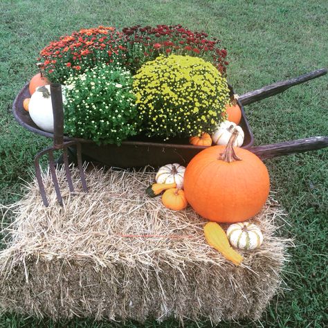 Finished my wheelbarrow decor! Wheelbarrow Decor, Swim Meet, Pinterest Projects, Easter Ideas, Pumpkin Patch, Easter