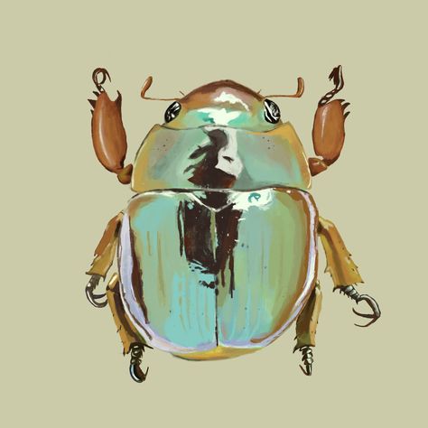 Aesthetic Insects Drawing, Beetle Art Illustration, Cool Beetles, Pretty Beetles, Cute Bug Drawing, Bug Pfp, Beetle Aesthetic, Bug Reference, Bug Aesthetic