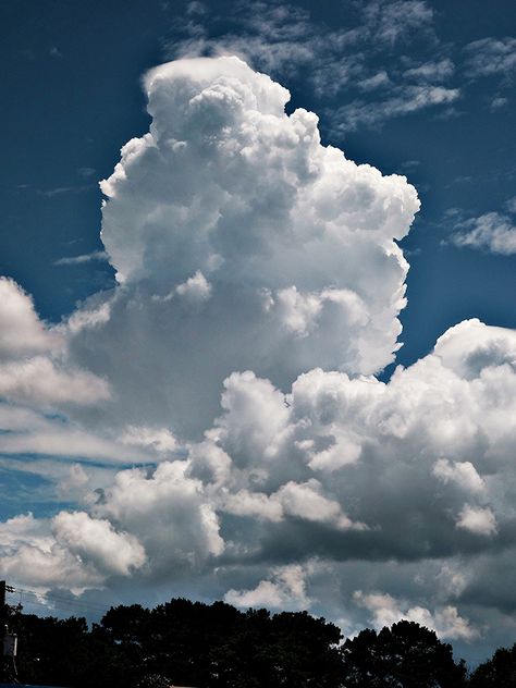 Sky Reference Photos, Cloud Reference, Clouds Reference, Sky Clouds, Cloud Photography, Air Aesthetic, Clouds From Below, Clouds From Above, Nature Clouds Sky