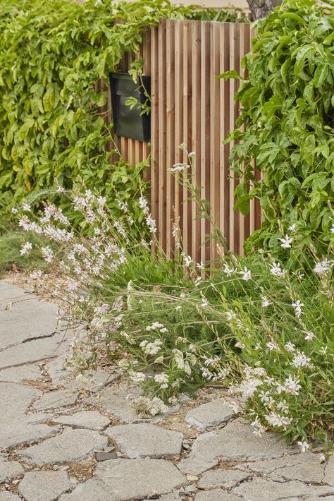 SARA'S GARDEN | TERREMOTO.LA Timber Cladding, Fence Gate, Plant Wall, Outdoor Plants, Urban Garden, Indoor Garden, Landscape Architecture, Garden Projects, Garden Inspiration