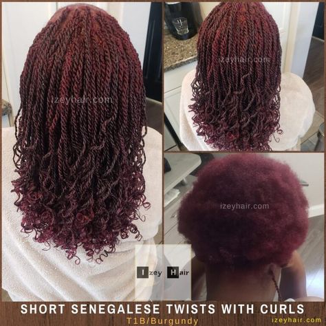 Short Senegalese Twists, Senegalese Twists With Curls, Senagalese Twist, Senegalese Hairstyles, Short Senegalese Twist, Birthday Hairstyle, Short Twist, Burgundy Box Braids, Twisted Braids