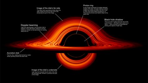 GMS: Black Hole Accretion Disk Visualization Black Holes In Space, Chemistry Puns, Astronomy Physics, Nasa Goddard, Astronomy Pictures, Flight Centre, Astronomy Science, Michael Johnson, Event Horizon