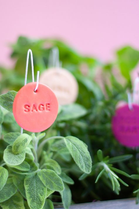 Diy Plant Tags Ideas, Plant Tags Diy Garden Markers, Plant Tags Ideas, Plant Tags Diy, Plant Labels Diy, Clay Garden Markers, Plant Markers Diy, Picking Garden, Calligraphy Products