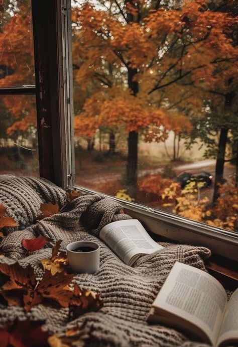 Aesthetic Scenes, Herbst Bucket List, Fall Reading, Iphone Wallpaper Fall, Autumn Magic, Fall Background, Autumn Scenes, Cozy Aesthetic, Autumn Scenery