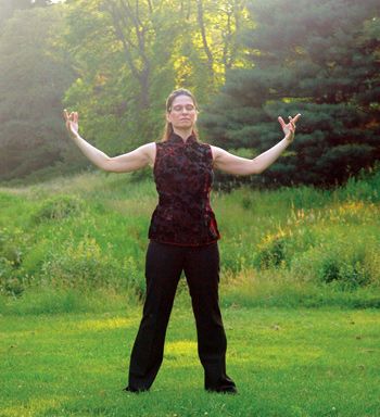 Qigong Healing Practices [Contains info relevant to unblocking chi] Tai Chi Moves, Medical Qigong, Qigong Meditation, Chi Gong, Meditation Methods, Qigong Exercises, Tai Chi Exercise, Healing Practices, Health Pictures