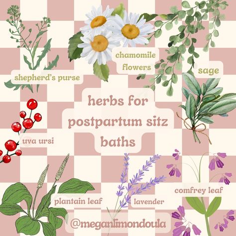 My Favorite Herbs for Postpartum Sitz Baths Herbal Sitz Bath Recipe, Postpartum Herbs, Sitz Bath Postpartum, Bath Herbs, Holistic Pregnancy, Postpartum Hemorrhage, Postpartum Healing, Sitz Bath, Herb Life