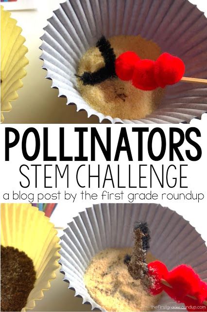 Pollination Activity, Science Lessons Elementary, Insects Preschool, Insect Activities, Bee Activities, Birthday Boyfriend, Second Grade Science, 1st Grade Science, Paintings Easy