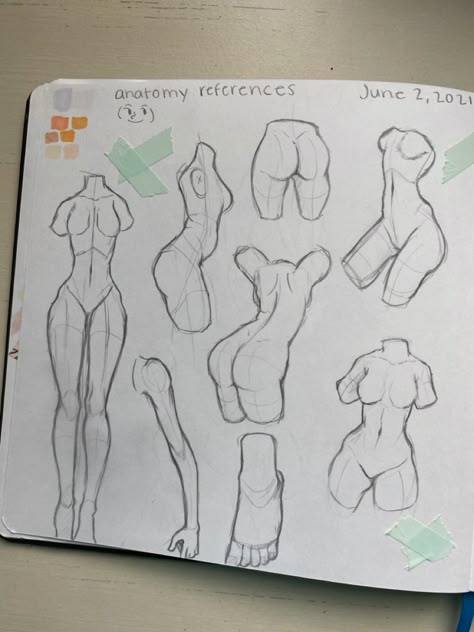 Body Anatomy For Drawing, Anatomy Sketches For Beginners, Anatomy Art Practice, Drawing Inspo Sketch Anatomy, Learning Body Anatomy Drawing, Body Anatomy Drawing Practice, Anatomy Of Men Drawing, Art Poses Anatomy, Drawings Of Anatomy