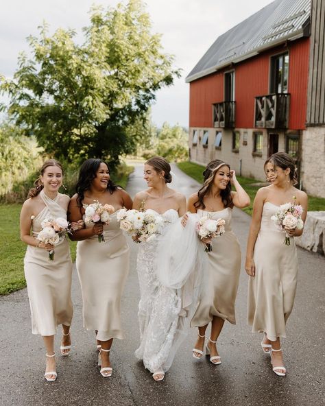 Champagne babes in our Stanton & Brodie dresses 🥂⁣ Bride @nataliee.murphy. Shot by @brandontaylor23. | Instagram Park And Fifth, Dresses Bride, Champagne Dress, September 17, Perfect Match, Wedding Planning, Colorado, Champagne, Wedding Day