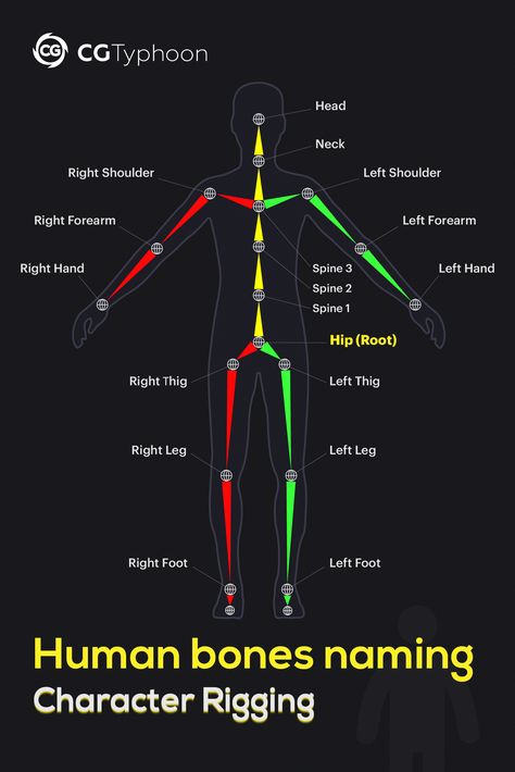 📌Human bones naming - Character rigging. #3d #lesson #modeling #3dtips #human #rigging #tips #tipsandtricks #topology #shape #faces #vertices #edges #cgtyphoon #cg #cgi #geometry #retopology #maya #blender #3dsmax #3dcoat #zbrush #modo Maya 3d Modeling, 3d Max Tutorial, Blender Character, Blender Character Modeling, Blender Tips, Modelling Tips, Maya Modeling, 3d Karakter, Character Rigging