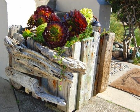 Make a driftwood planter for the garden, patio, or front door. Driftwood Planters, Fence Planters, Seaside Garden, Wood Garden, Coastal Gardens, Porch Garden, Succulents In Containers, Garden Containers, Drift Wood