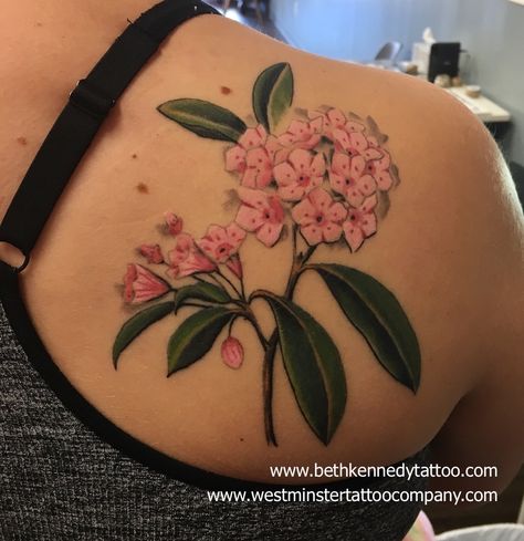 Mountain Laurel Tattoo Pennsylvania, Mountain Laurel Flower Tattoo, Laurel Flower Tattoo, Mountain Laurel Tattoo, Va Tattoo, Mountain Laurel Flower, Laurel Tattoo, Laurel Flower, Fun Tattoos