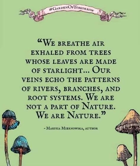 Garden Quotes, Nature Quotes, Quotable Quotes, A Quote, Love Words, Inspire Me, Words Quotes, Wise Words, Just In Case