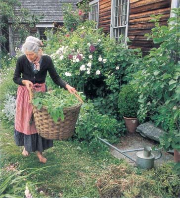 Simply Shelley: The Art of Tasha Tudor..... England Garden, Tasha Tudor, The Tudors, Marjolein Bastin, Magic Garden, Tudor House, Old Woman, Mori Girl, Simple Living