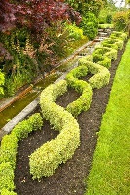 braided hedges Butterfly Landscape, Island Couple, Knot Garden, Parterre Garden, Boxwood Garden, Garden Hedges, Vashon Island, Pinterest Garden, The Outlaw