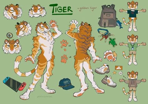 Golden Tiger Character Design, Anthro Tiger Character Design, Tiger Fursona Ref Sheet, Weasel Fursona, Big Cat Fursona, Fursona Ref Sheet Base, Tiger Fursona, Fursona Reference Sheet, Fursona Ref Sheet