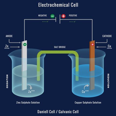 Table of ContentsWhat is a battery? Understanding galvanic cells through a galvanic empireLet’s Put That Into Science!ConclusionSuggested ReadingGalvanic cells are electrochemical cells that convert chemical energy into electrical energy. They are compact sources of electrical power.PAT! PAT! PAT! “This remote stops working only when we really want to watch something!” exclaimed Arun’s grandfather as he smashed the TV remote against his hand.“Stop hitting that, Dad, Body Anatomy Organs, Luigi Galvani, Cell Drawing, Galvanic Cell, Electrochemical Cell, Photography Buildings, Exothermic Reaction, Electrolyte Water, Chemistry Projects