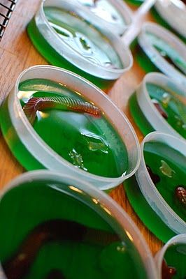 Will definitely have to find a way to squeeze this into a lesson after viewing earthworms! Mad Scientist Halloween Party, Science Theme Party, Jello Treats, Jello Worms, Jelly Worms, Mad Scientist Halloween, Science Birthday Party Ideas, Mad Scientist Birthday, Scientist Birthday Party