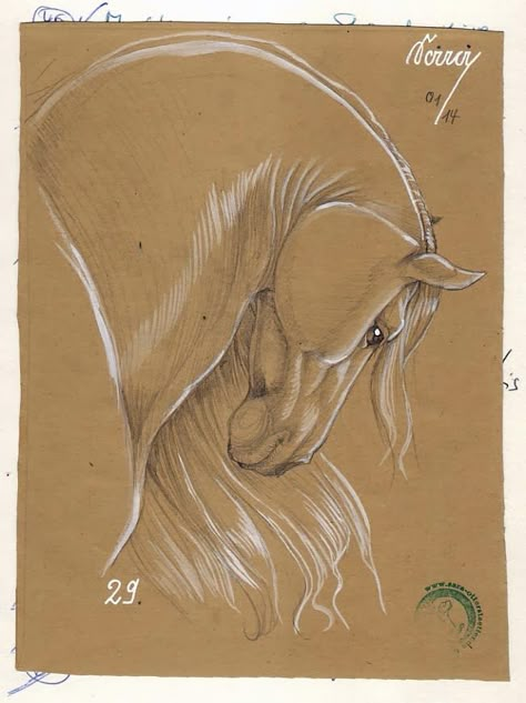 White Pencil Drawing On Brown Paper, Toned Tan Paper Art Sketches, Draw On Brown Paper, Drawing Brown Paper, Brown Paper Art Drawing, Drawings On Brown Paper, Brown Paper Drawing, Brown Paper Art, Drawing On Brown Paper