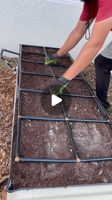 Raised Garden Beds Layout Veggies, Garden Bed Watering System, Watering Raised Garden Beds, Garden Grid, Garden Bed Layout, Garden Area, Big Garden, Garden Decor Ideas, Pollinator Garden