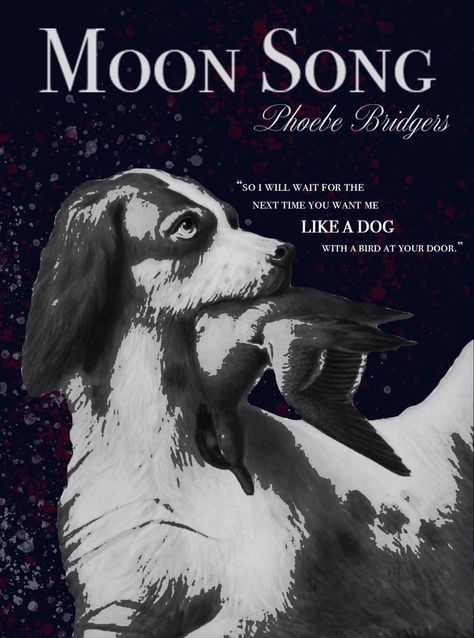 Moon Song Phoebe Bridgers, Phoebe Bridgers Poster, Poster Lyrics, I Will Wait, Moon Song, Dorm Posters, Phoebe Bridgers, Lyric Art, Dog Poster