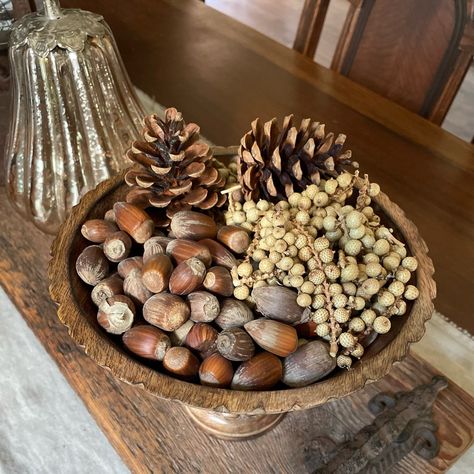 New bowl fillers just arrived! Lovely hazel nuts and dried berry botanicals look lovely together and add a lot of interesting texture to your bowl filler display. A great way to add to your neutral decor as well! Fall Vase Filler, Dough Bowl Filler, Wood Dough Bowl, Jar Fillers, Rustic Decorating, Christmas Bowl, Fall Table Centerpieces, Floral Arranging, Dough Bowl