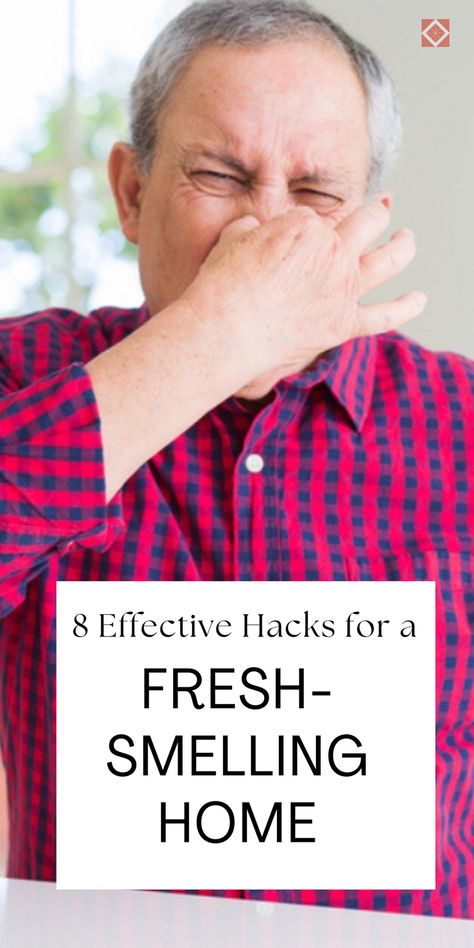 Freshen up your home with 8 effective hacks to remove musty odors. Learn how to tackle that 'old house' smell with simple and easy solutions. Your home will feel cleaner and more welcoming in no time. Save this pin for top home improvement ideas. Ways To Freshen Up Your House, How To Get Smells Out Of Couch, How To Get Rid Of Odors In House, How To Freshen Up Your Home, How To Get Rid Of Old House Smell, How To Keep House Smelling Good, Musty Smell In House How To Remove, Make House Smell Good All The Time, Smell Good House Hacks