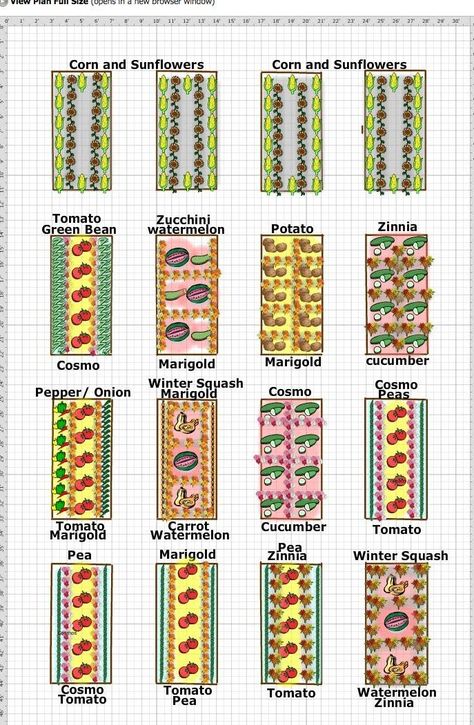 Vegetable and Cut Flower Garden Plan #country #garden #design #countrygardendesign I’m so excited Hubby brought home the lumber to built me 16 raised garden beds. They will be 8’x4′ and be placed in my front yard right next to the orchard. I know many people wouldn’t want their front yard taken up by a vegetable garden, but I will enjoy sitting on the front porch […] Garden Plans Layout, Vegetable Garden Plans, Flower Garden Layouts, Garden Planning Layout, Country Garden Design, Flower Garden Plans, Backyard Garden Layout, Vertical Vegetable Garden, Vegetable Garden Planning