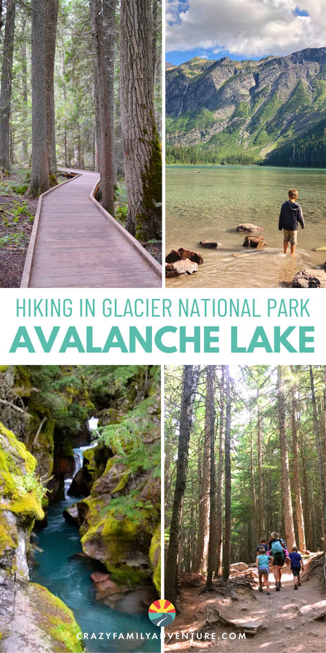 4 pictures of the Avalanche Lake hike. 1 of the trail, 1 of a kid in the lake, 1 of the waterfall and 1 of a mom and kids hiking on the trail. Text reads: Hiking In Glacier National Park: Avalanche Lake Avalanche Lake Glacier National Park, Glacier National Park Itinerary, Glacier National Park Vacation, Glacier National Park Map, Avalanche Lake, Glacier National Park Trip, Forest Therapy, Glacier Montana, Montana Trip