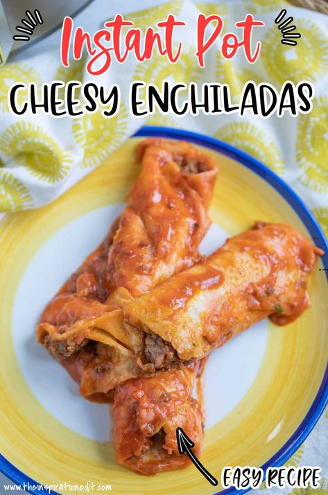 Flour Tortilla Enchiladas, Liquid Diet Recipes, Pork Enchiladas, Beef Enchilada Recipe, Cheesy Enchiladas, Ground Beef Enchiladas, Potted Beef, Instant Pot Pork, Beef Enchiladas