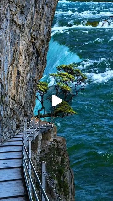 naturebeauty07 | Beautiful waterfall 😍 #waterfall #nature #naturephotography #water #sea #reelsinstagram #reels | Instagram Nature Videos, Beautiful Views Video, View Video, Nature Gif, Beautiful Waterfalls, Beautiful Views, Natural Wonders, Nature Photography, Wonder