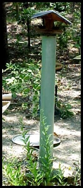 If you have a feeder that is on a pole, measure from the ground to the bird-feeder at the top of the pole. Use 6 inch PVC pipe the same length and slip the bird-feeder pole inside before you pound it into the ground. Bird Feeder Baffle, Basketball Pole, Backyard Birds Watching, Squirrel Baffle, Backyard Birds Feeders, Bird Ideas, Birdhouse Ideas, Bird Feeder Poles, Squirrel Proof Bird Feeders