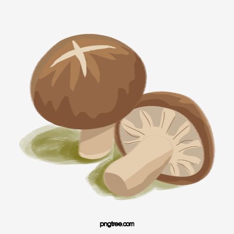 Nokia Logo, Mushroom Icon, Pencil Packaging, Happy Vietnamese New Year, Mushroom Food, Mushrooms Illustration, Mushroom Cartoon, Mushrooms Food, Mushroom Vegetable