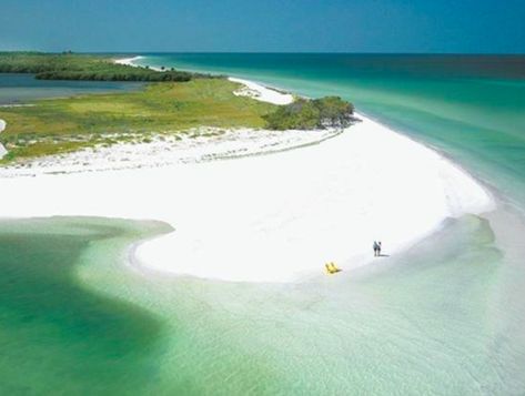 Caladesi Island, Caladesi Island State Park, Best Beach In Florida, Fl Beaches, Photos Black And White, Honeymoon Island, Siesta Key Beach, Beach Pink, Beach Honeymoon