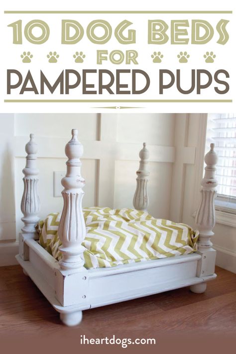 Your pampered pup deserves a bed fit for a prince! End Table Pet Bed, Table Dog Bed, Dog Bed Inspiration, End Table Dog Bed, Diy Dog Beds, Dog Beds Homemade, Wooden Dog Bed, Diy Pet Bed, Diy Dog Bed