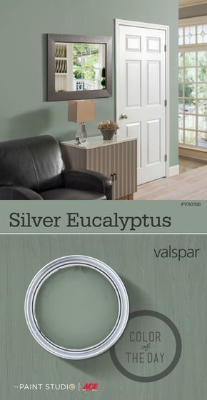 Silver Eucalyptus, Valspar Colors, Bathroom Paint Colors, Room Paint Colors, Bedroom Paint Colors, Leather Couch, Trendy Bedroom, Paint Colors For Living Room, Bedroom Paint