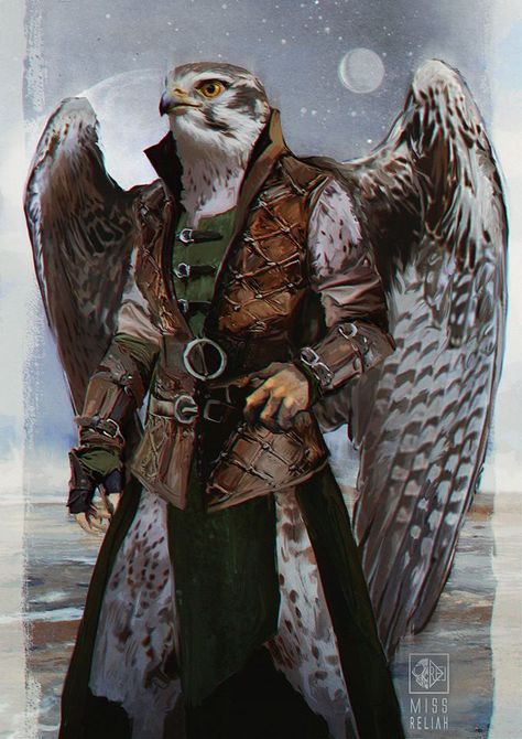 Aarakocra Ranger Inspiration #1 Aaracokra Ranger, Dnd Aracokra, Fantasy Bird People, Aarakocra Fighter, Aarakocra Ranger, Bird Warrior, Bird Person, Bird People, Carpet Ideas