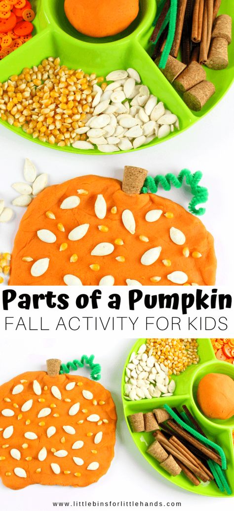 Fall Sensory Playdough, Hands On Pumpkin Activities, Autumn Themed Activities Eyfs, Pumpkin Provocations Kindergarten, Playdough Provocations Reggio, Thanksgiving Playdough Activities, Fall Playdough Activities, Pumpkin Eyfs Activities, Harvest Eyfs Activities