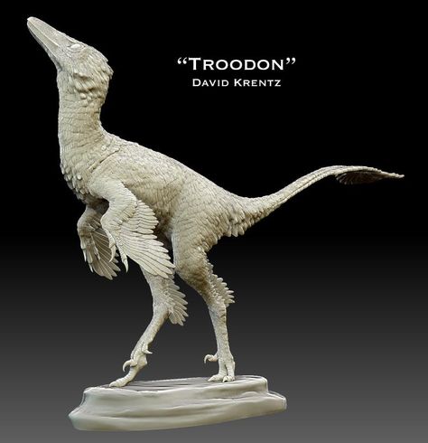 The hands of Troodon were specialized for grasping in a certain way. They were also very fast. Their hind legs were long and elongate lower parts of the legs which allowed them to move very rapidly and, of course, to escape predators that were larger than them. Troodon Art, Disney Dinosaur, Dinosaur History, Feathered Dinosaurs, Walking With Dinosaurs, Prehistoric Wildlife, Dinosaur Skeleton, Dinosaur Fossils, Paleo Art