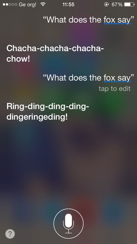 Funny things to say to Siri Funny Things To Say To Alexa, Questions For Siri, Things To Say To Siri, Alexa Questions, Funny Alexa Commands, Funny Things To Say, Alexa Commands, Ask Alexa, Things To Ask Siri