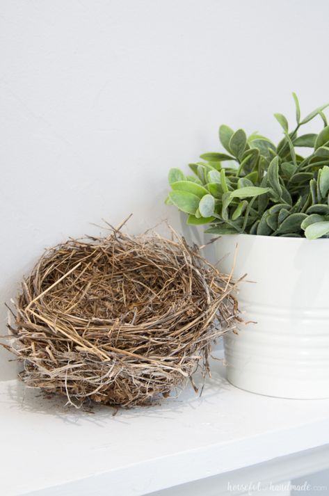 Over 25 bird nest decorating ideas for you to add some natural decor to your home. Great tips on how to make decorative bird nest yourself or how to style real bird nests you may have collected. Plus a few recipes for edible bird nests! Decorating With Bird Nests, Bird Nest Decor, Birds Nests Recipe, Edible Bird's Nest, Bird Nest Wreath, Bird Nests Art, Nest Ideas, Chocolate Nests, Top Of Kitchen Cabinets